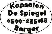 Kapsalon de Spiegel